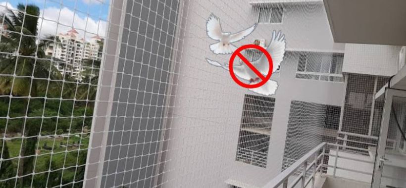 Pigeon Safety Nets in Jakkur - Balcony Pigeon Nets Near Me