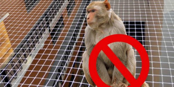 Monkey Safety Nets for Balconies in Byatarayanapura 9902471555