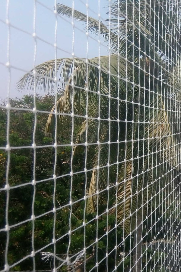 Bird Protection Nets in Bangalore - Anti Bird Netting Service Price